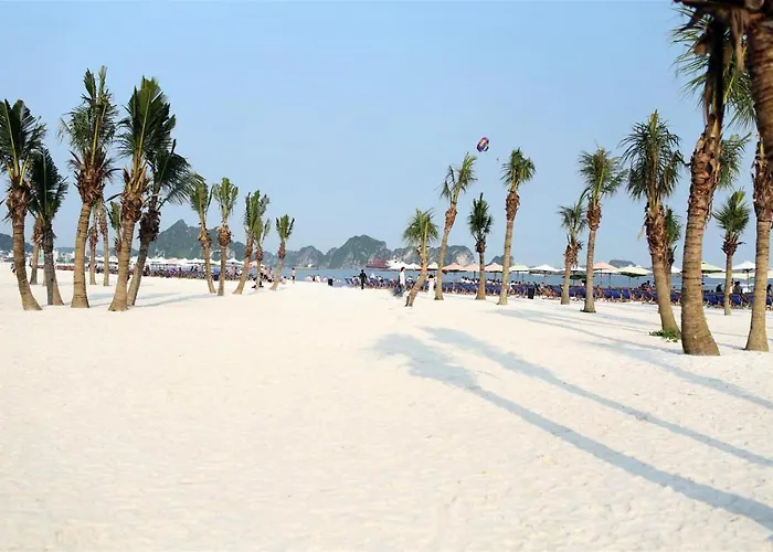 Trang Hạ Long